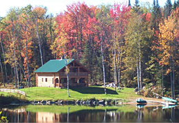 Miles Pond Log Home pond