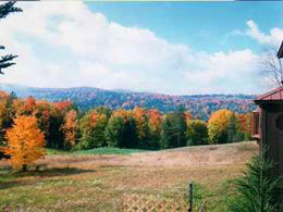 Vermont rentals house - view